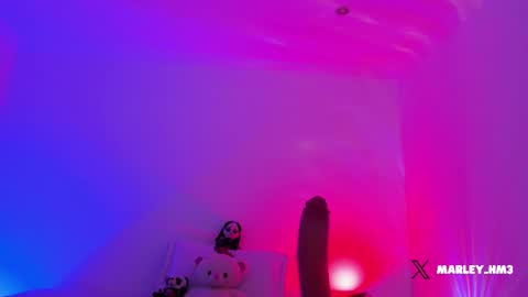 Snapshot of nelav0 chatting on December 14, 10:25 pm xd online show from December 14, 10:25 pm