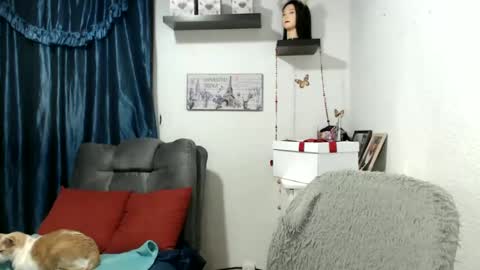 Snapshot of nena_lov chatting on January 21, 3:37 am Star online show from January 21, 3:37 am