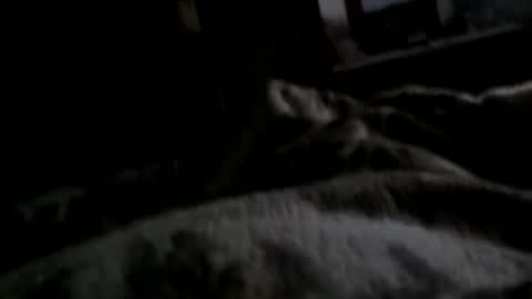 Snapshot of neverseentthatb4 chatting on December 11, 7:42 am Matt online show from December 11, 7:42 am