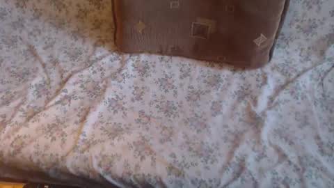 Lilly  online show from February 10, 12:08 pm