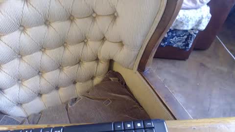 Lilly  online show from February 23, 11:11 am