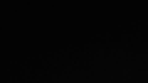 Robin online show from February 3, 10:36 am