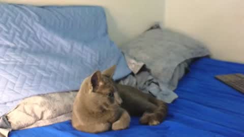 Nicolas              online show from December 19, 12:34 am