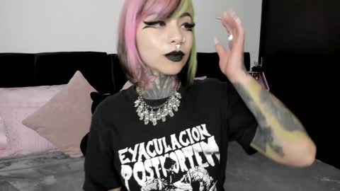 Nikki Ramone   online show from January 23, 11:48 am