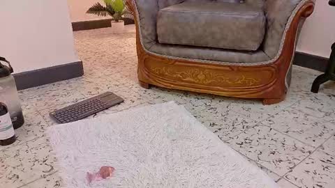  NIKY SMIT  online show from February 16, 2:43 pm