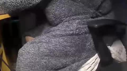 nineinchhard online show from December 9, 8:00 am