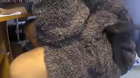 nineinchhard online show from December 19, 12:01 pm