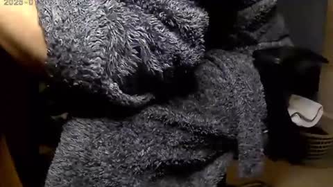 nineinchhard online show from January 6, 6:47 am