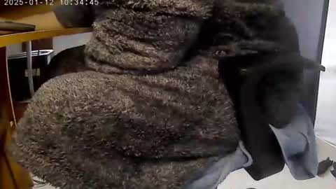 nineinchhard online show from January 12, 10:34 am