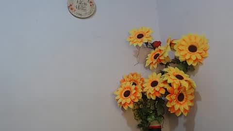 Noah Millers online show from January 6, 7:52 am