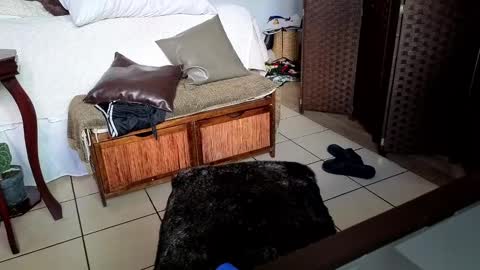 nobudget06 online show from February 25, 11:00 pm