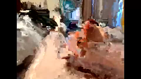 nolplus online show from March 5, 5:40 am