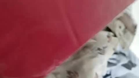 Snapshot of nooby942461 chatting on January 4, 5:16 am sim nib online show from January 4, 5:16 am