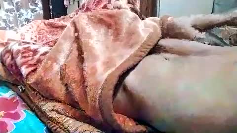 Snapshot of nooby942461 chatting on March 1, 5:31 am sim nib online show from March 1, 5:31 am