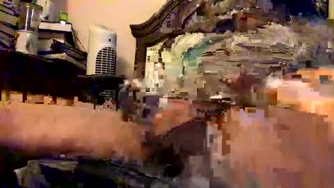 nothingclever1003 online show from January 16, 7:38 am