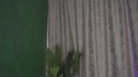 Julia online show from February 14, 8:21 am