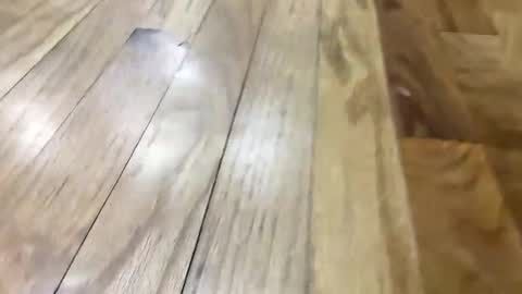 Super Soaker Oreo World online show from November 11, 5:02 pm