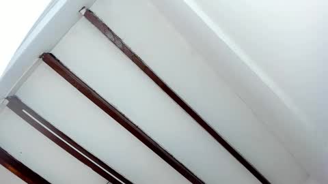 Snapshot of oriana_guzman chatting on January 29, 5:45 pm Miss Guzman online show from January 29, 5:45 pm