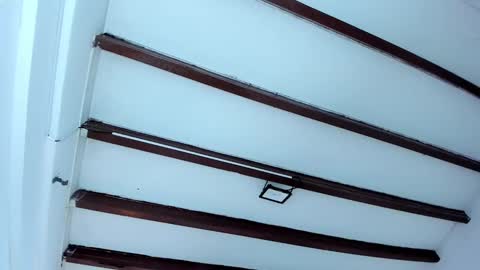 Snapshot of oriana_guzman chatting on February 6, 12:16 pm Miss Guzman online show from February 6, 12:16 pm