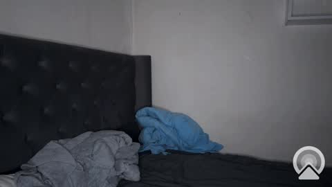 origamicat online show from February 6, 3:20 pm