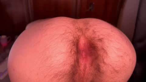 origamicat online show from October 13, 11:05 pm