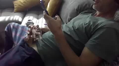 orwel09 online show from January 2, 12:35 pm