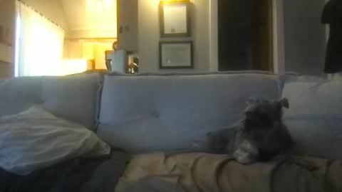 Snapshot of ossignol_xxx chatting on February 27, 1:16 am rossignol online show from February 27, 1:16 am