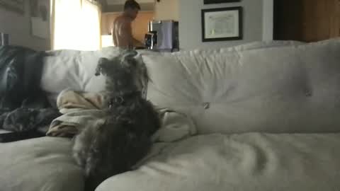 Snapshot of ossignol_xxx chatting on September 13, 4:29 pm rossignol online show from September 13, 4:29 pm