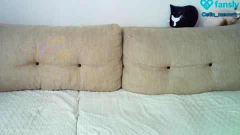 Ostin online show from March 8, 5:17 am