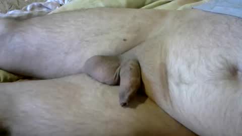 ovid77 online show from November 28, 12:08 pm