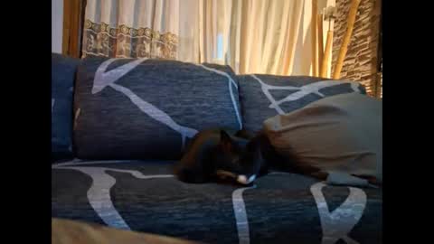 Snapshot of p326032 chatting on November 3, 8:54 pm p326032 online show from November 3, 8:54 pm