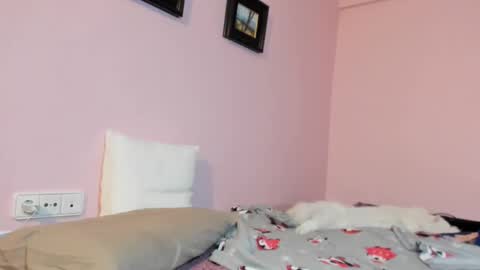 Snapshot of palaustudio chatting on January 17, 8:24 am Merce online show from January 17, 8:24 am