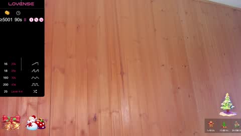 Pamela online show from December 28, 6:49 am