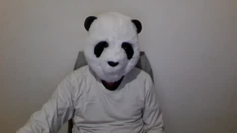Panda online show from December 6, 7:01 pm