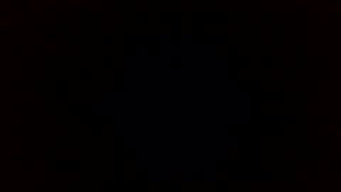 Panda online show from January 19, 11:45 am