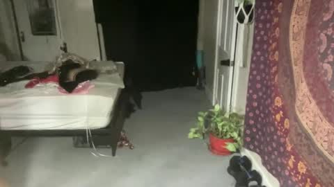 Pantiesofthefae online show from February 21, 12:16 am