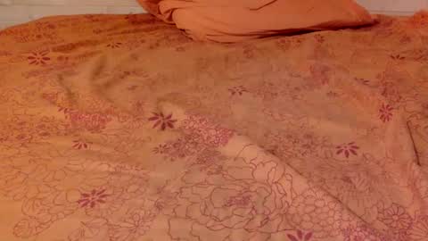 Pati24 online show from January 15, 6:51 pm