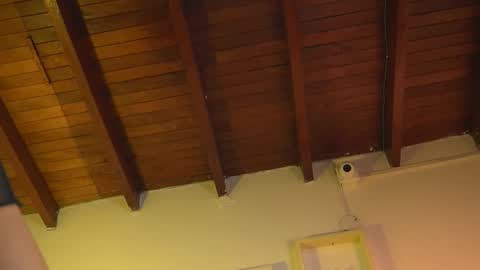 patty online show from September 15, 12:05 pm