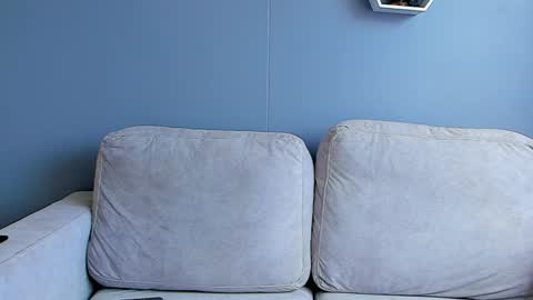 Paul Phoenix online show from January 2, 6:12 pm