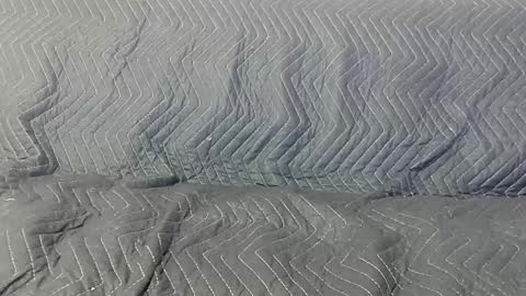 Snapshot of paupam chatting on January 26, 7:31 pm paupam online show from January 26, 7:31 pm