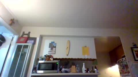 pawgkiller online show from October 11, 2:33 am