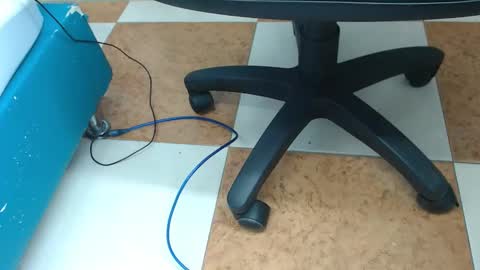 Payton online show from December 4, 9:29 am