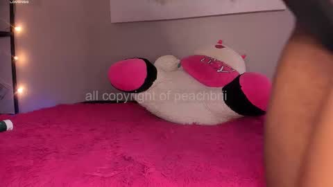 Snapshot of peachbrii chatting on November 14, 2:05 pm Briana online show from November 14, 2:05 pm