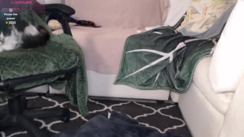 NEXT CHILL SESH  1130 930pm -ish PEEK online show from March 6, 2:19 am