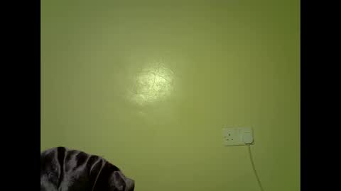 Snapshot of perverted_sweet chatting on November 17, 11:43 pm perverted_sweet online show from November 17, 11:43 pm