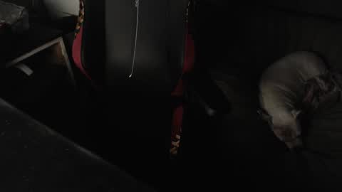 Snapshot of peterbeater2 chatting on February 21, 7:45 am peterbeater2 online show from February 21, 7:45 am