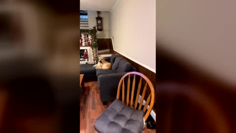 PhatAssBlond online show from December 15, 3:05 pm