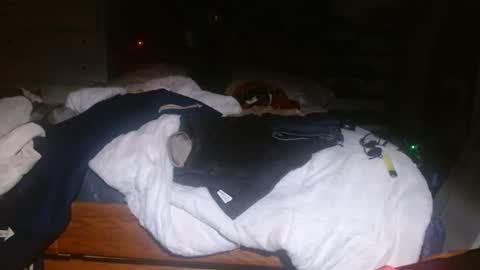 picklerick650 online show from November 2, 2:25 am