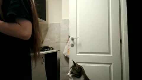 Snapshot of pieceofmoon chatting on December 15, 8:35 pm Moonie online show from December 15, 8:35 pm