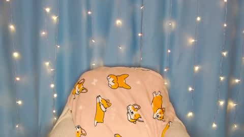 Pikachu pika online show from January 13, 1:23 am